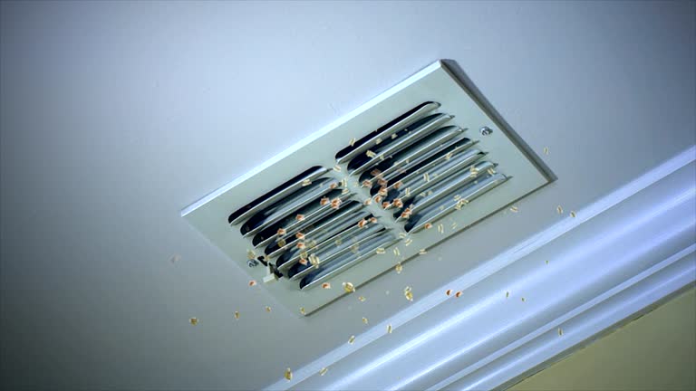 Best Commercial HVAC Duct Cleaning  in Ahoskie, NC
